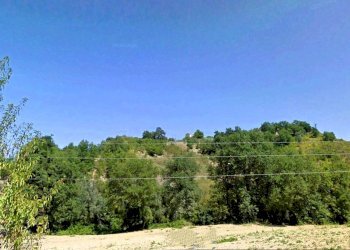 Foto 16 - Rustico contrada Tratturo, Monteodorisio - foto 16