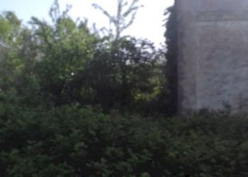 giardino - Rustico contrada Tratturo, Monteodorisio - foto 17