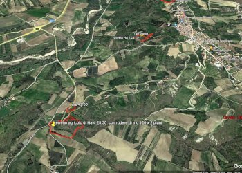 Foto 18 - Rustico contrada Tratturo, Monteodorisio - foto 18