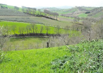 Foto 20 - Rustico contrada Tratturo, Monteodorisio - foto 20