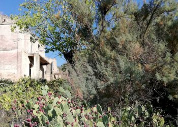 Foto 23 - Rustico contrada Tratturo, Monteodorisio - foto 22