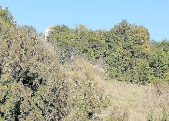 Foto 25 - Rustico contrada Tratturo, Monteodorisio - foto 24