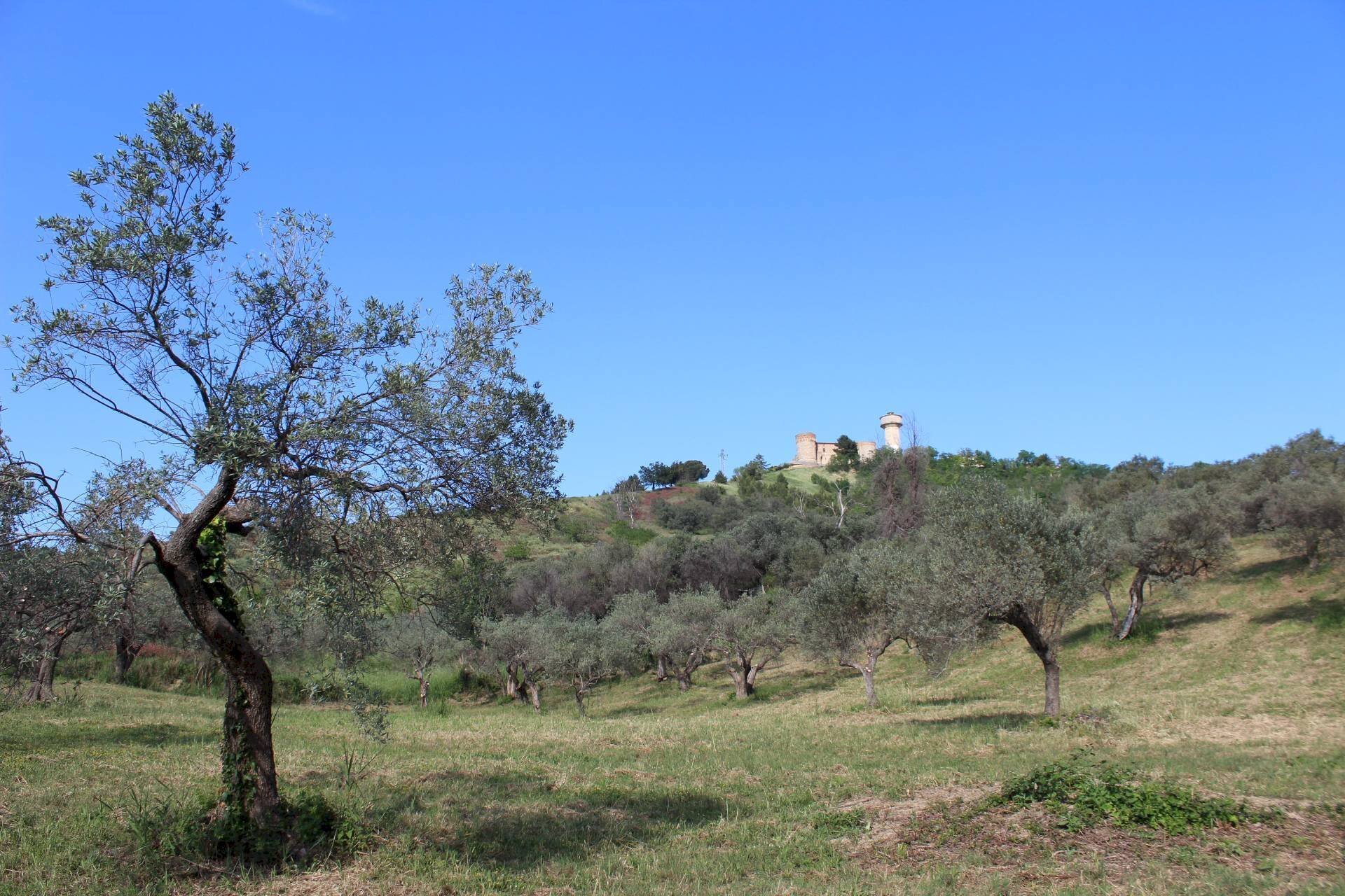 Foto 1 - Terreno agricolo Sotto Castello
 
snc, Monteodorisio - foto 1