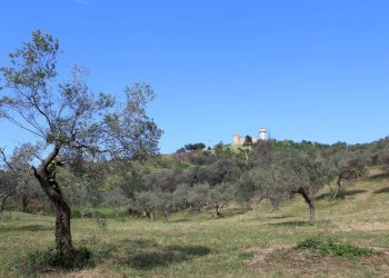 Foto 1 - Terreno agricolo Sotto Castello
 
snc, Monteodorisio - foto 1