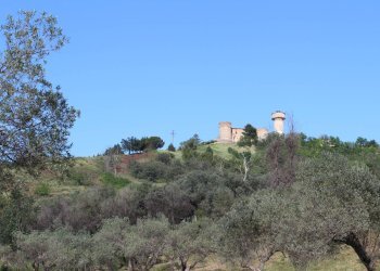 Foto 2 - Terreno agricolo Sotto Castello
 
snc, Monteodorisio - foto 2