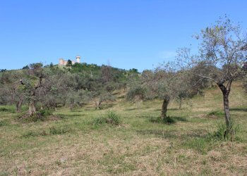 Foto 13 - Terreno agricolo Sotto Castello
 
snc, Monteodorisio - foto 13