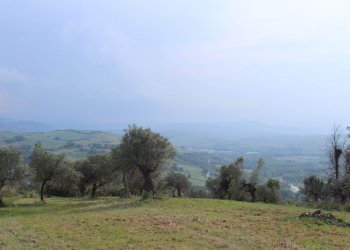 Foto 21 - Terreno agricolo Sotto Castello
 
snc, Monteodorisio - foto 19