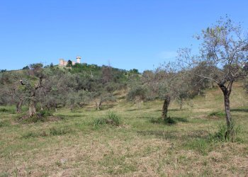 Foto 22 - Terreno agricolo Sotto Castello
 
snc, Monteodorisio - foto 20