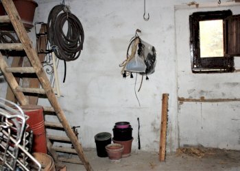 Foto 31 - Casa indipendente Via Vittorio Veneto
 
81, Palmoli - foto 31