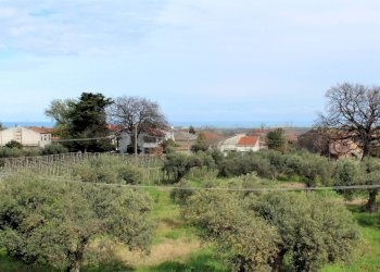 Foto 5 - Trilocale via Osimo, Casalbordino - foto 4