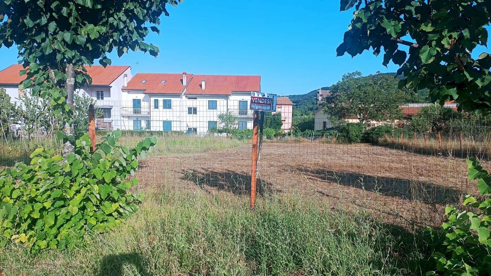 Foto 3 - Terreno edificabile c/da Fonte La casa, Palmoli - foto 3