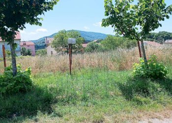 Foto 1 - Terreno edificabile c/da Fonte La casa, Palmoli - foto 1