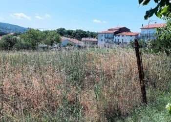 Foto 4 - Terreno edificabile c/da Fonte La casa, Palmoli - foto 4