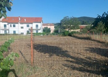 Foto 5 - Terreno edificabile c/da Fonte La casa, Palmoli - foto 5