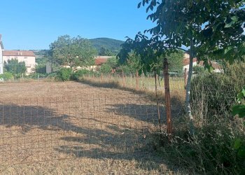 Foto 6 - Terreno edificabile c/da Fonte La casa, Palmoli - foto 6