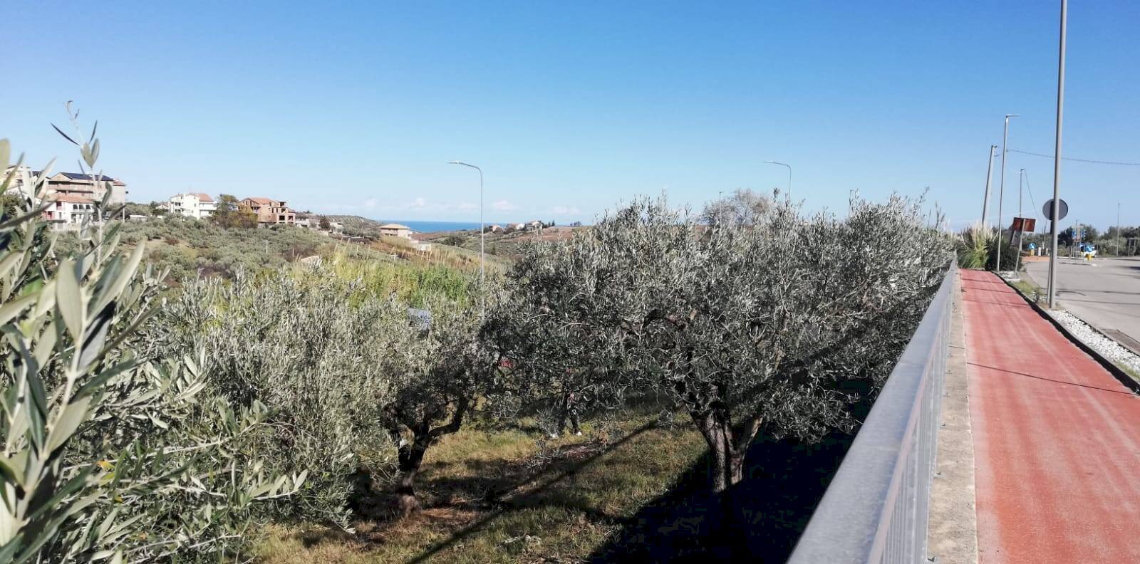 Foto 3 - Terreno edificabile viale Giovanni XXIII
 
snc, Cupello - foto 3