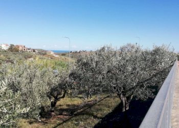 Foto 3 - Terreno edificabile viale Giovanni XXIII
 
snc, Cupello - foto 3