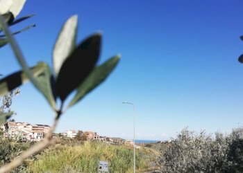 Foto 4 - Terreno edificabile viale Giovanni XXIII
 
snc, Cupello - foto 4