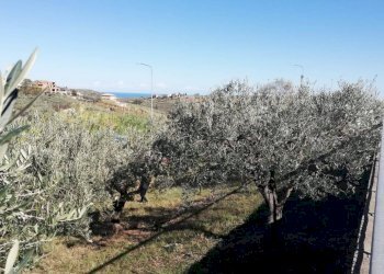 Foto 7 - Terreno edificabile viale Giovanni XXIII
 
snc, Cupello - foto 7