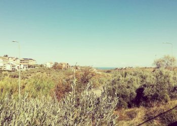 Foto 8 - Terreno edificabile viale Giovanni XXIII
 
snc, Cupello - foto 8