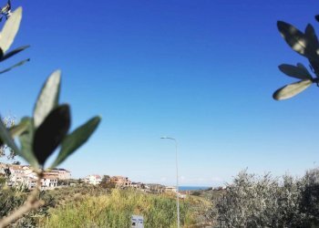 Foto 9 - Terreno edificabile viale Giovanni XXIII
 
snc, Cupello - foto 9