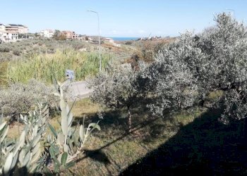 Foto 10 - Terreno edificabile viale Giovanni XXIII
 
snc, Cupello - foto 10