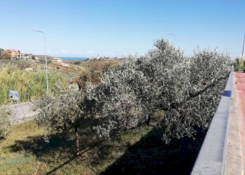 Foto 11 - Terreno edificabile viale Giovanni XXIII
 
snc, Cupello - foto 11