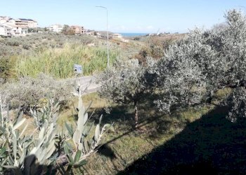 Foto 13 - Terreno edificabile viale Giovanni XXIII
 
snc, Cupello - foto 13