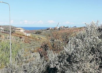 Foto 16 - Terreno edificabile viale Giovanni XXIII
 
snc, Cupello - foto 16