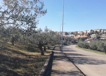 Foto 17 - Terreno edificabile viale Giovanni XXIII
 
snc, Cupello - foto 17