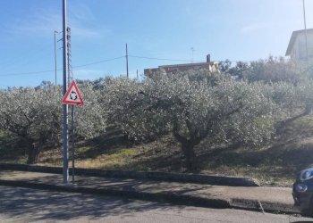 Foto 28 - Terreno edificabile viale Giovanni XXIII
 
snc, Cupello - foto 28