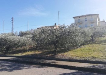 Foto 30 - Terreno edificabile viale Giovanni XXIII
 
snc, Cupello - foto 30