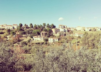 Foto 31 - Terreno edificabile viale Giovanni XXIII
 
snc, Cupello - foto 31