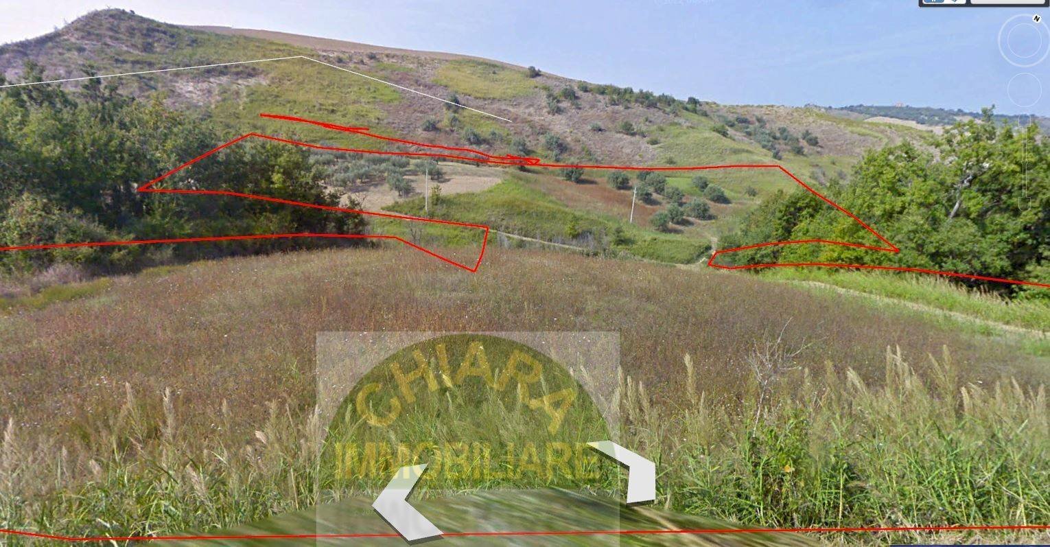 Foto 4 - Terreno agricolo c.da Ramignano / Strampanato, Cupello - foto 3