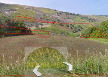 Foto 4 - Terreno agricolo c.da Ramignano / Strampanato, Cupello - foto 3