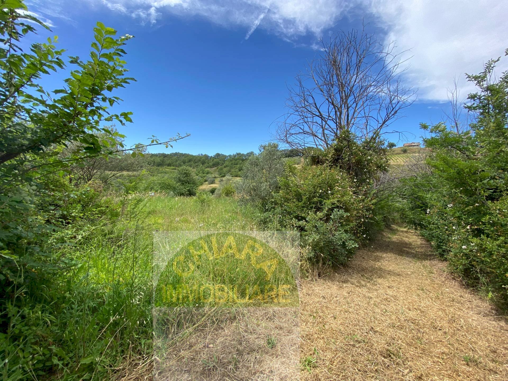 Foto 1 - Rustico Strada statale Istonia
 
snc, Cupello - foto 1