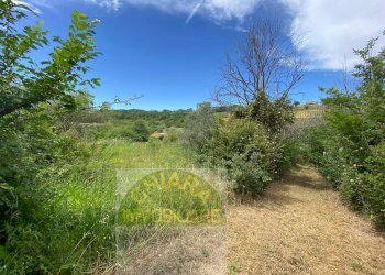 Foto 1 - Rustico Strada statale Istonia
 
snc, Cupello - foto 1