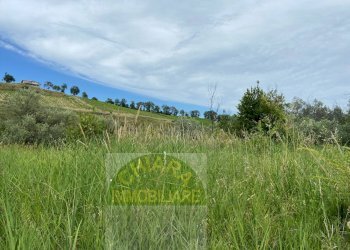 Foto 8 - Rustico Strada statale Istonia
 
snc, Cupello - foto 6