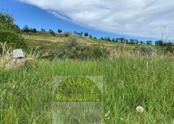 Foto 11 - Rustico Strada statale Istonia
 
snc, Cupello - foto 9