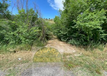 Foto 13 - Rustico Strada statale Istonia
 
snc, Cupello - foto 11