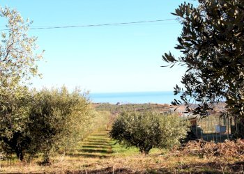 Foto 1 - Terreno edificabile via Aldo Moro, Cupello - foto 1