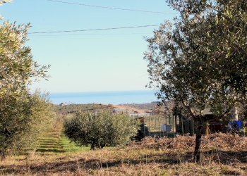 Foto 4 - Terreno edificabile via Aldo Moro, Cupello - foto 4