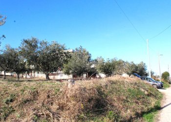 Foto 12 - Terreno edificabile via Aldo Moro, Cupello - foto 12