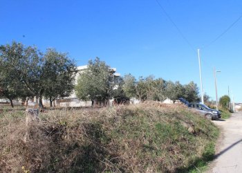 Foto 15 - Terreno edificabile via Aldo Moro, Cupello - foto 15