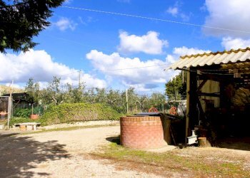 Foto 2 - Casa indipendente Contrada Reale
 
1, Cupello - foto 2