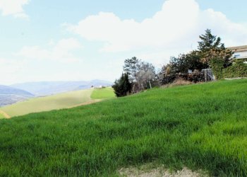 Foto 8 - Casa indipendente Contrada Reale
 
1, Cupello - foto 8