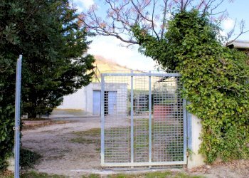 Foto 9 - Casa indipendente Contrada Reale
 
1, Cupello - foto 9