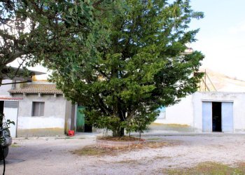 Foto 10 - Casa indipendente Contrada Reale
 
1, Cupello - foto 10