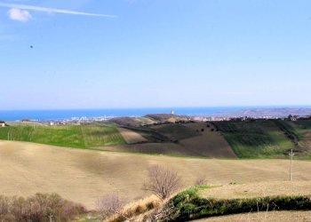 Foto 38 - Casa indipendente Contrada Reale
 
1, Cupello - foto 38