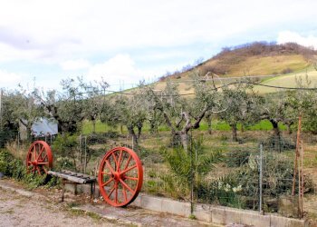 Foto 53 - Casa indipendente Contrada Reale
 
1, Cupello - foto 53